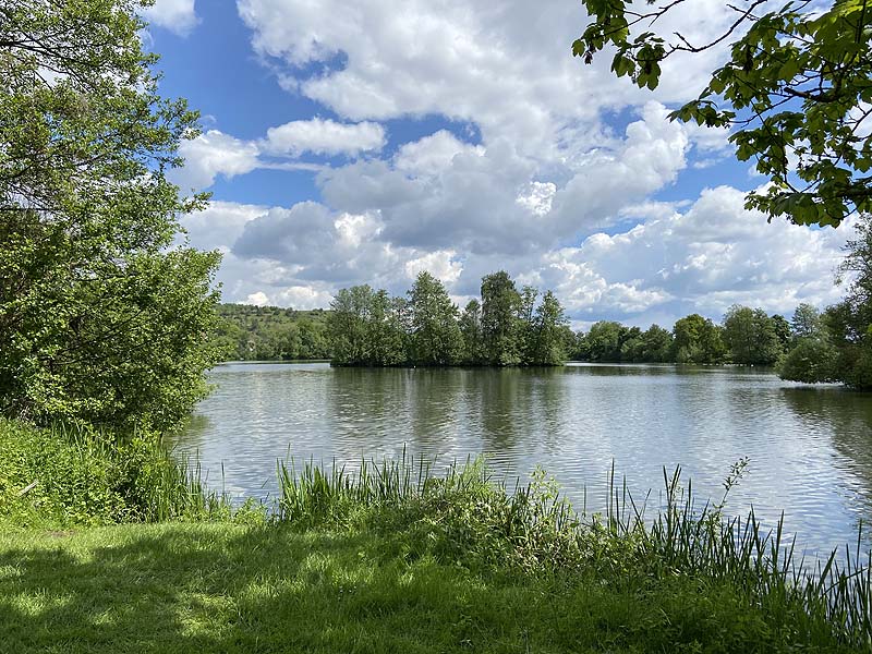 Der Badesee Naturbad Saltendorf in Teublitz