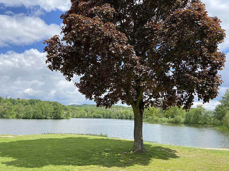 Der Badesee Naturbad Saltendorf in Teublitz