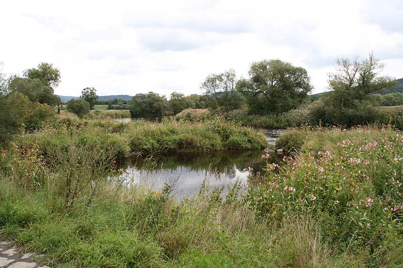 Der Satzdorfer See im Landkreis Cham