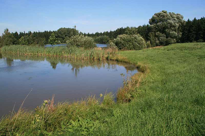 Augensee (Schleiz, Thüringen)