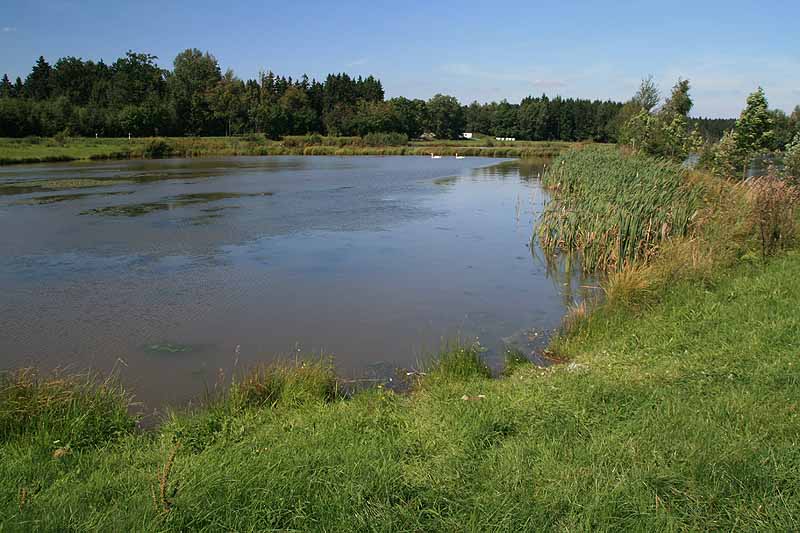 Augensee (Schleiz, Thüringen)