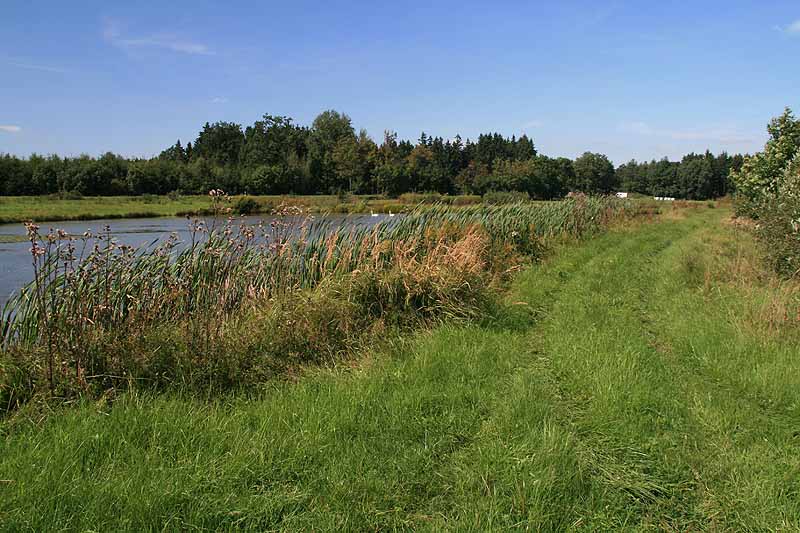 Augensee (Schleiz, Thüringen)