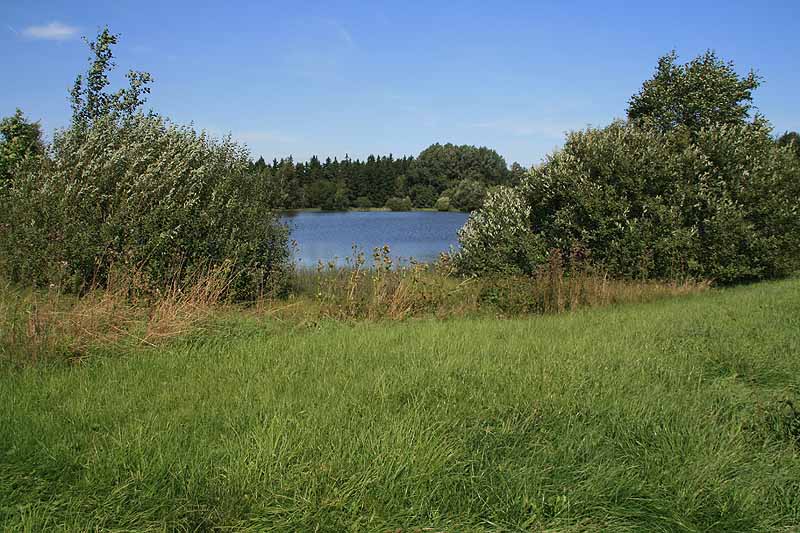 Augensee (Schleiz, Thüringen)