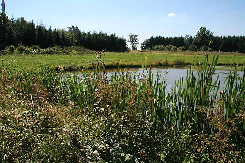 Augensee (Schleiz, Thüringen)