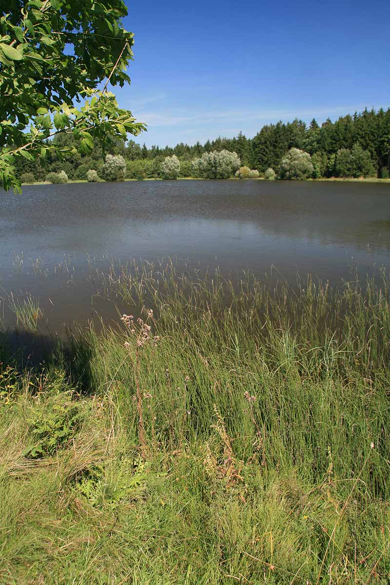 Augensee (Schleiz, Thüringen)