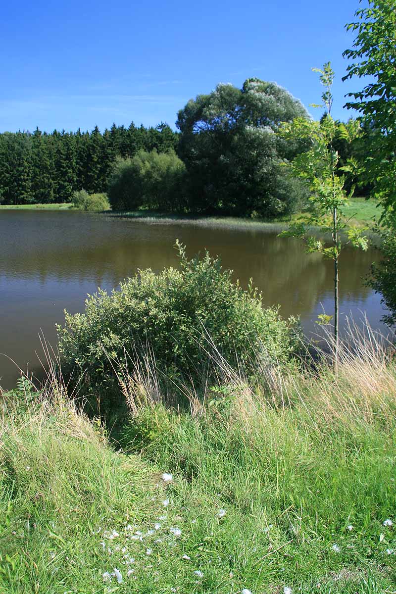 Augensee (Schleiz, Thüringen)