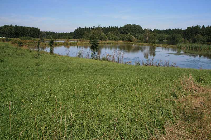 Augensee (Schleiz, Thüringen)