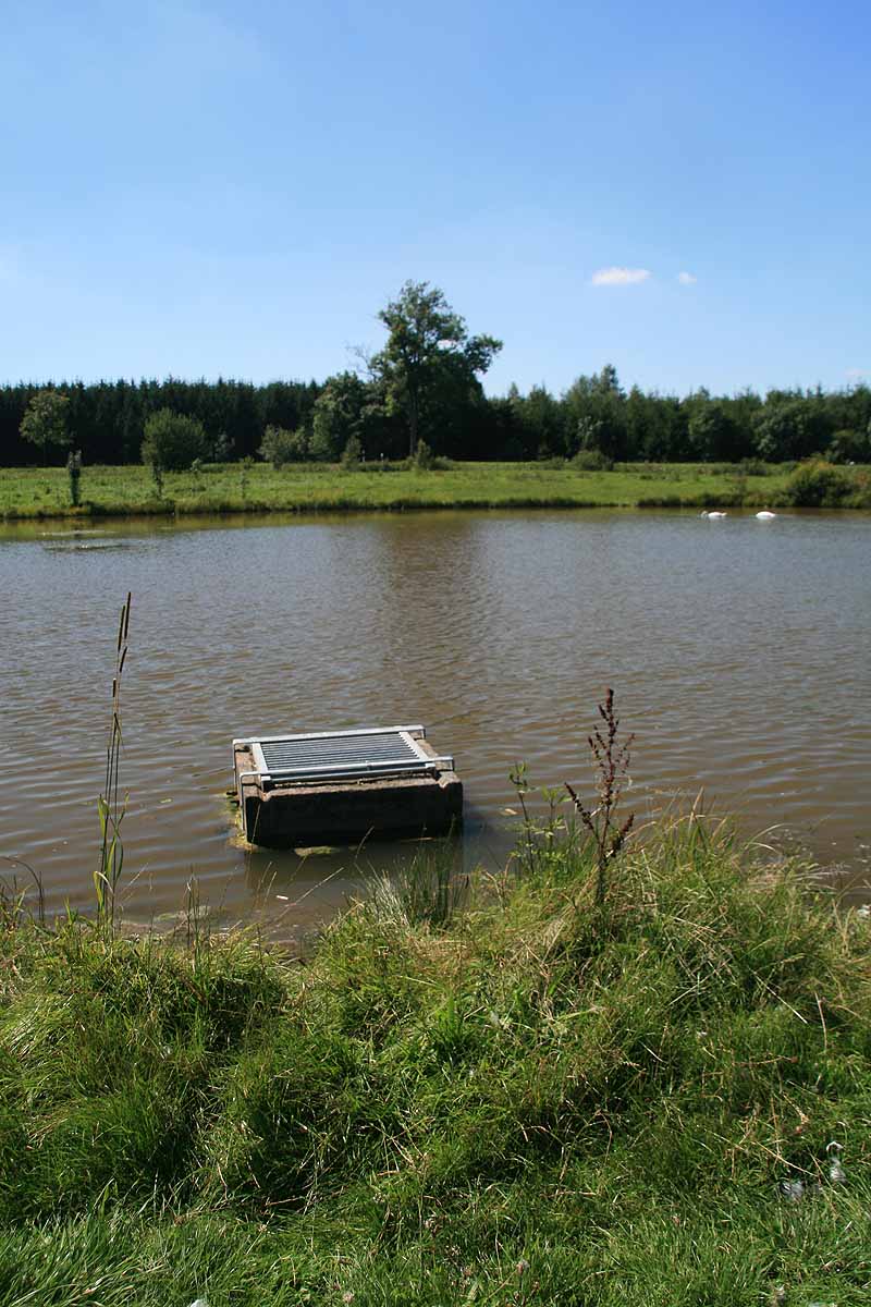 Augensee (Schleiz, Thüringen)