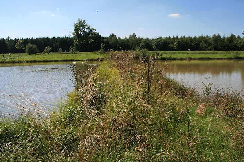 Augensee (Schleiz, Thüringen)
