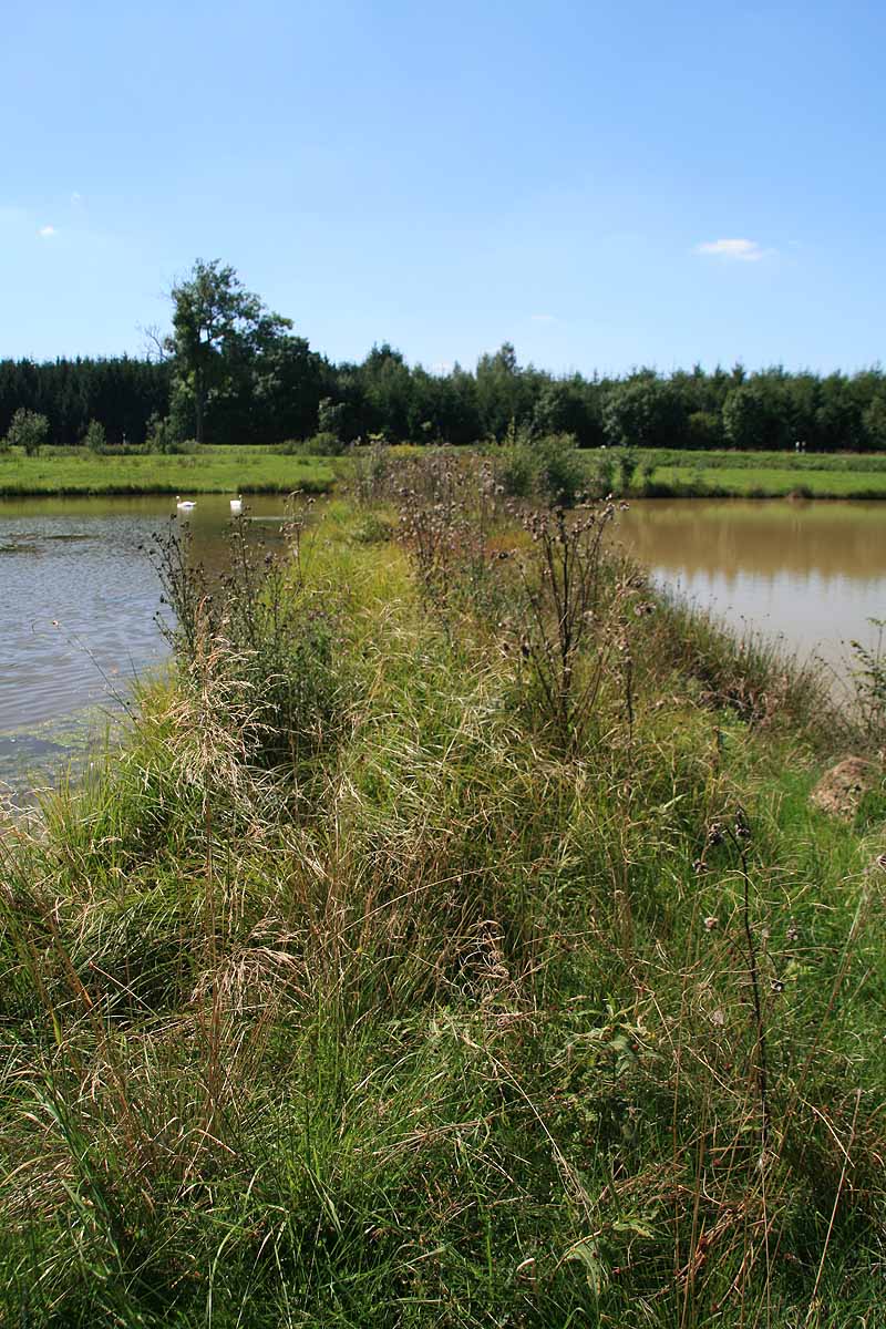 Augensee (Schleiz, Thüringen)