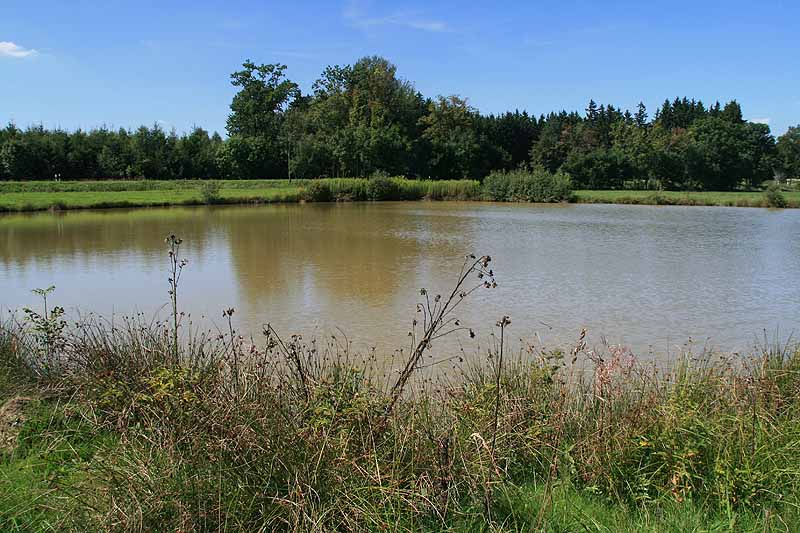 Augensee (Schleiz, Thüringen)
