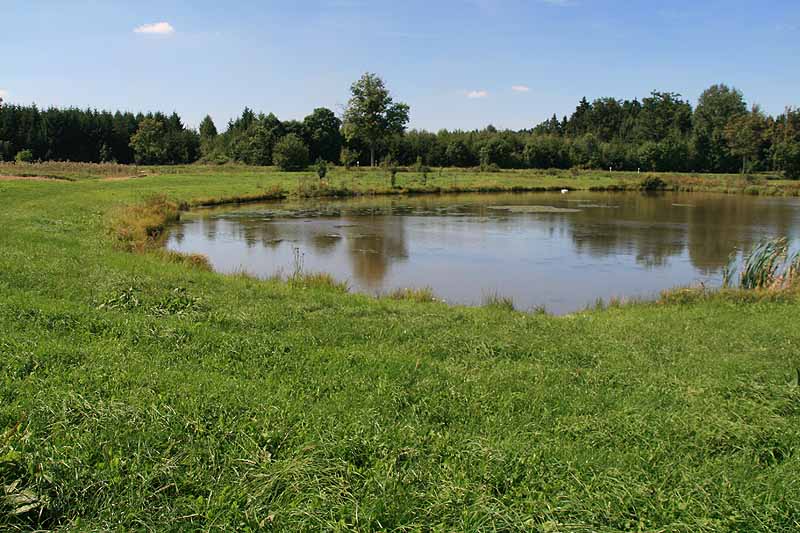 Augensee (Schleiz, Thüringen)