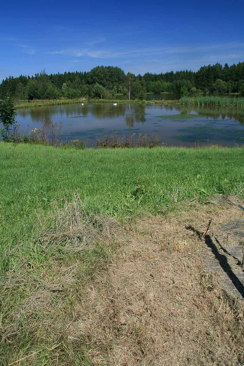 Augensee (Schleiz, Thüringen)