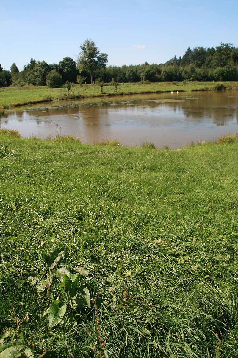Augensee (Schleiz, Thüringen)