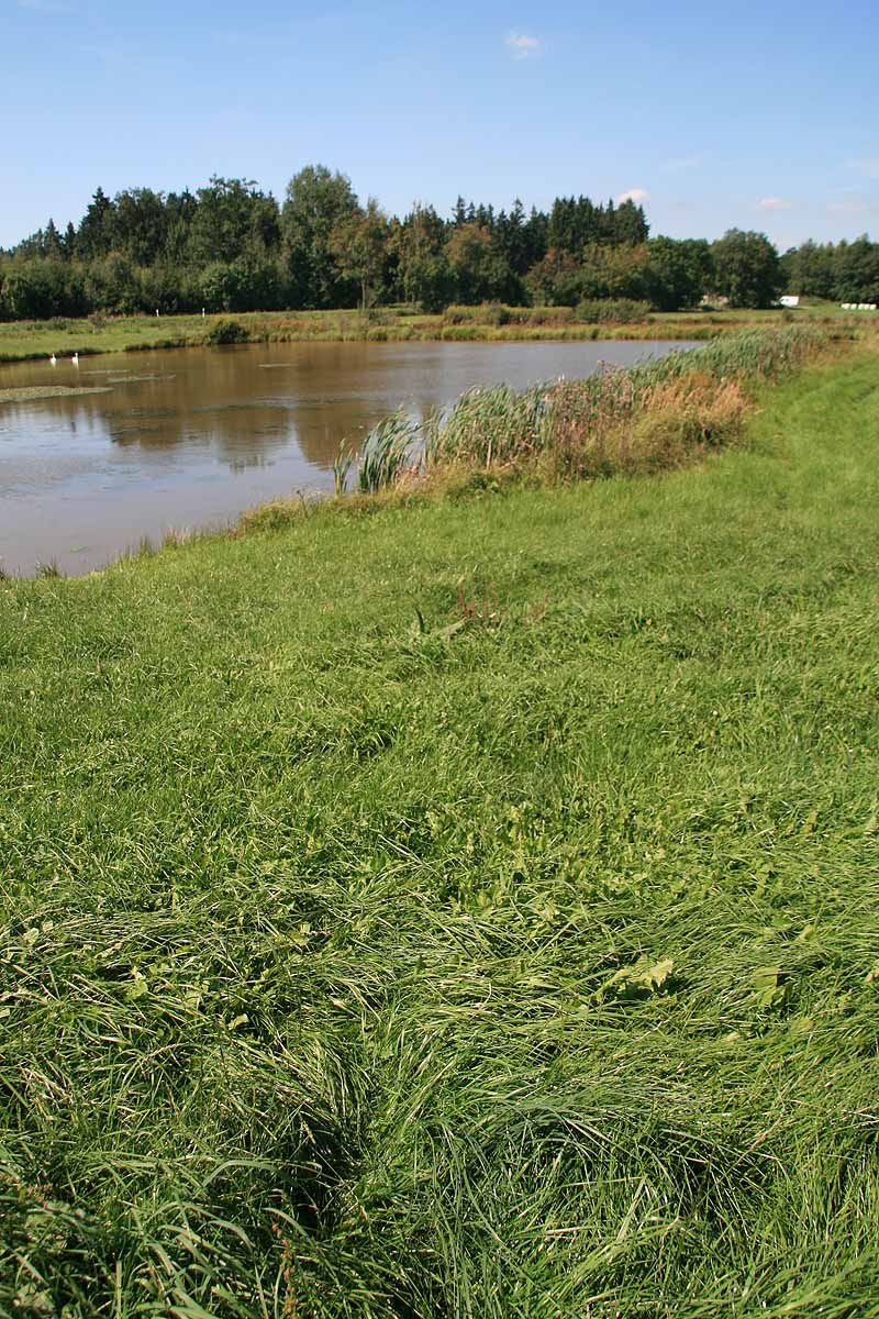 Augensee (Schleiz, Thüringen)