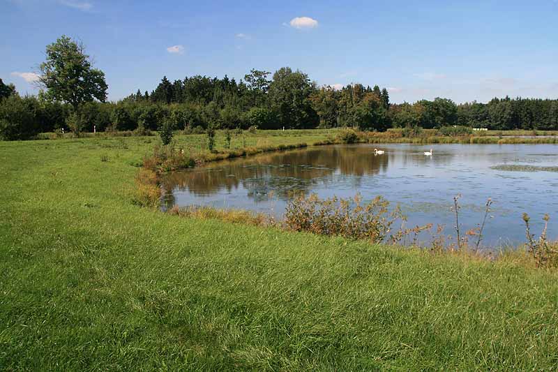 Augensee (Schleiz, Thüringen)