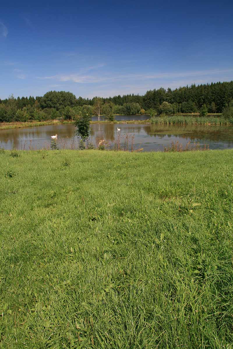 Augensee (Schleiz, Thüringen)