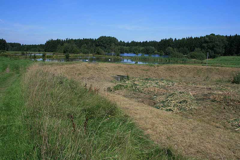 Augensee (Schleiz, Thüringen)