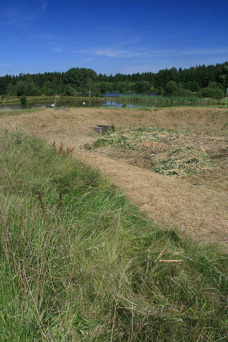 Augensee (Schleiz, Thüringen)