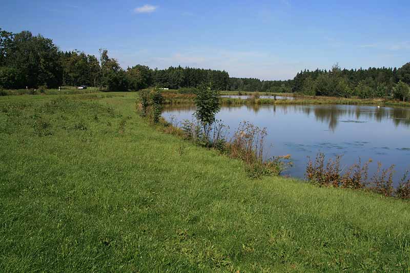 Augensee (Schleiz, Thüringen)
