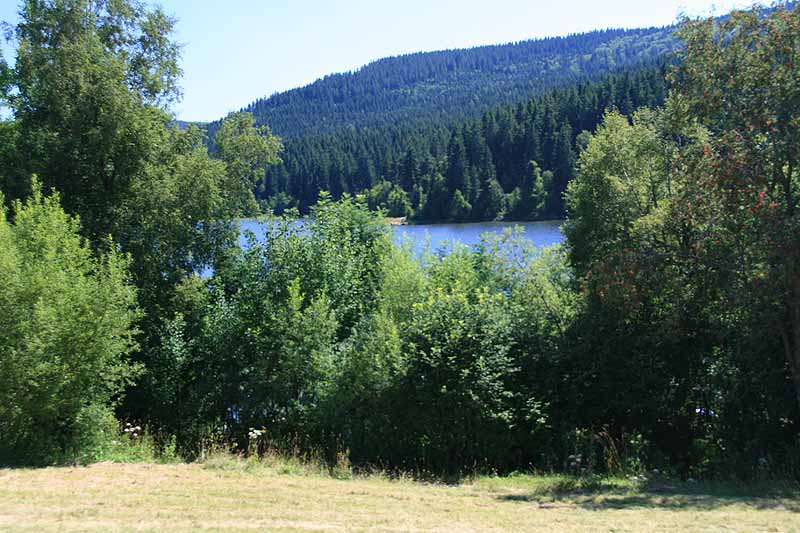 Schluchsee (Schluchsee, Baden-Württemberg)