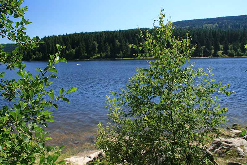 Schluchsee (Schluchsee, Baden-Württemberg)