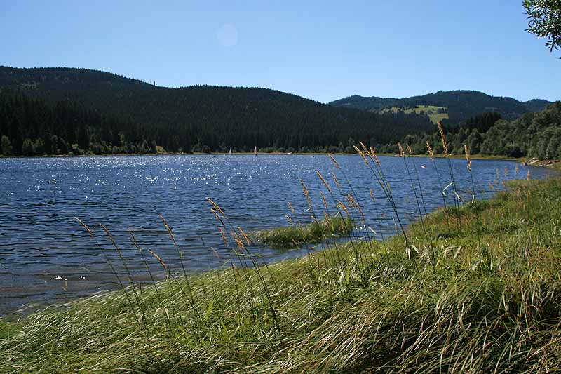 Schluchsee (Schluchsee, Baden-Württemberg)