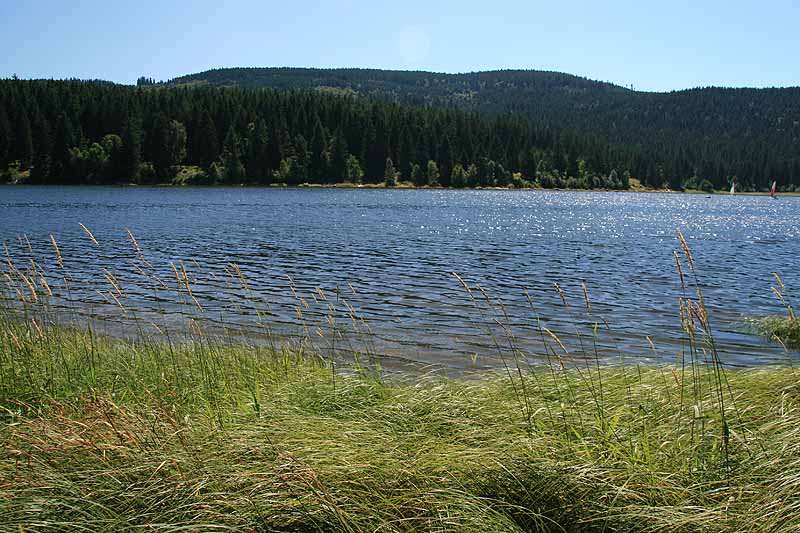 Schluchsee (Schluchsee, Baden-Württemberg)