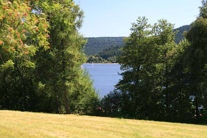 Schluchsee (Schluchsee, Baden-Württemberg)