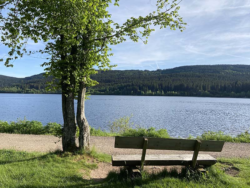 Der Schluchsee in Baden-Württemberg