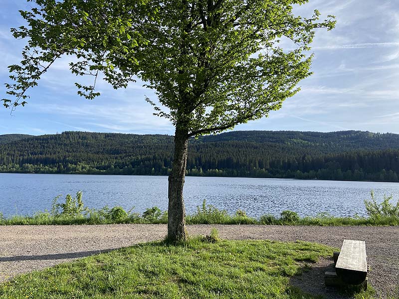 Der Schluchsee in Baden-Württemberg