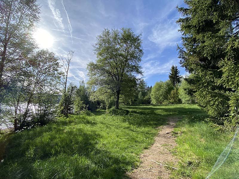 Der FKK-Bereich am Schluchsee in Baden-Württemberg