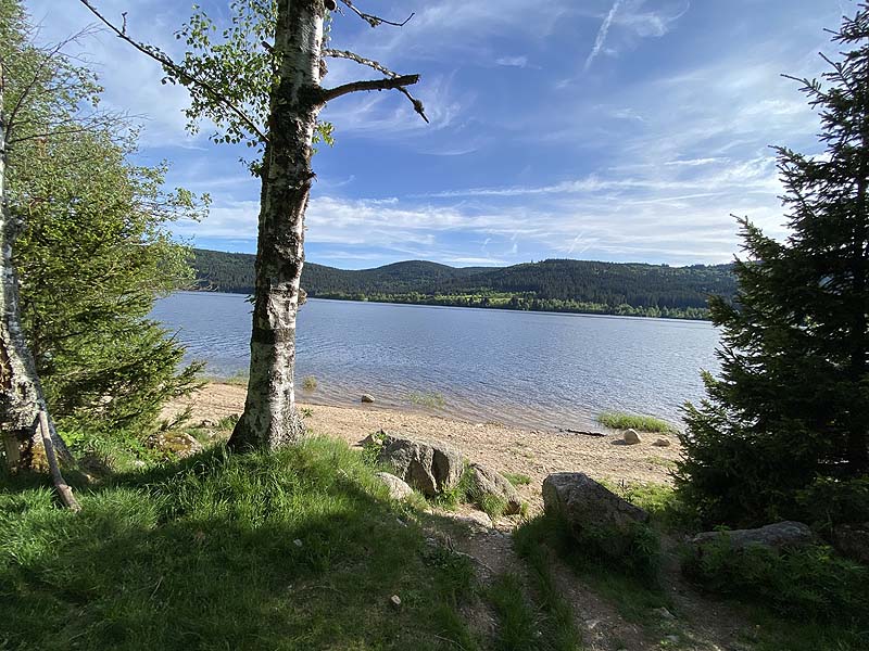 Der FKK-Bereich am Schluchsee in Baden-Württemberg