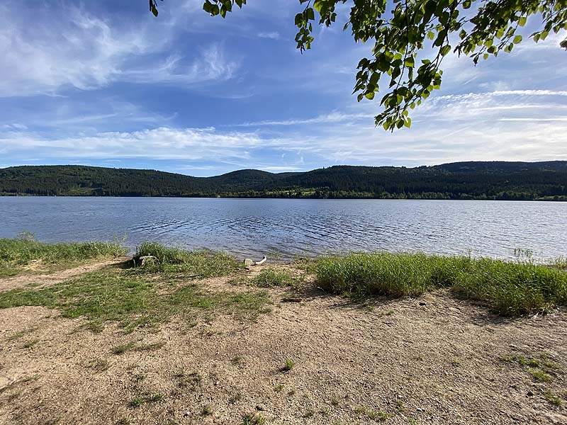 Der FKK-Bereich am Schluchsee in Baden-Württemberg