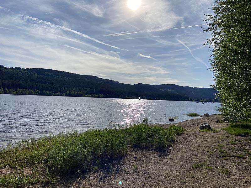 Der FKK-Bereich am Schluchsee in Baden-Württemberg