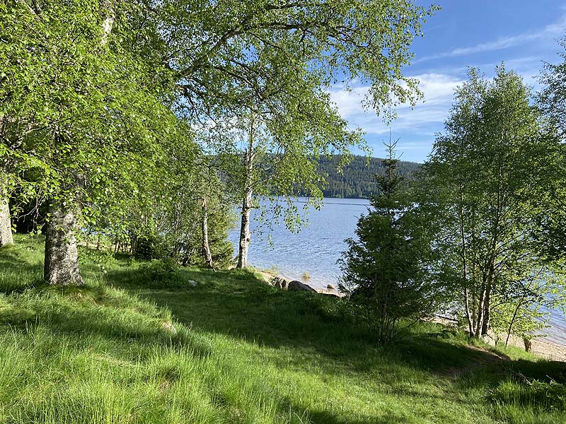 Der FKK-Bereich am Schluchsee in Baden-Württemberg