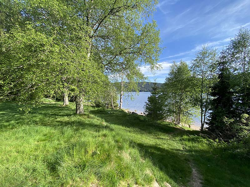 Der FKK-Bereich am Schluchsee in Baden-Württemberg