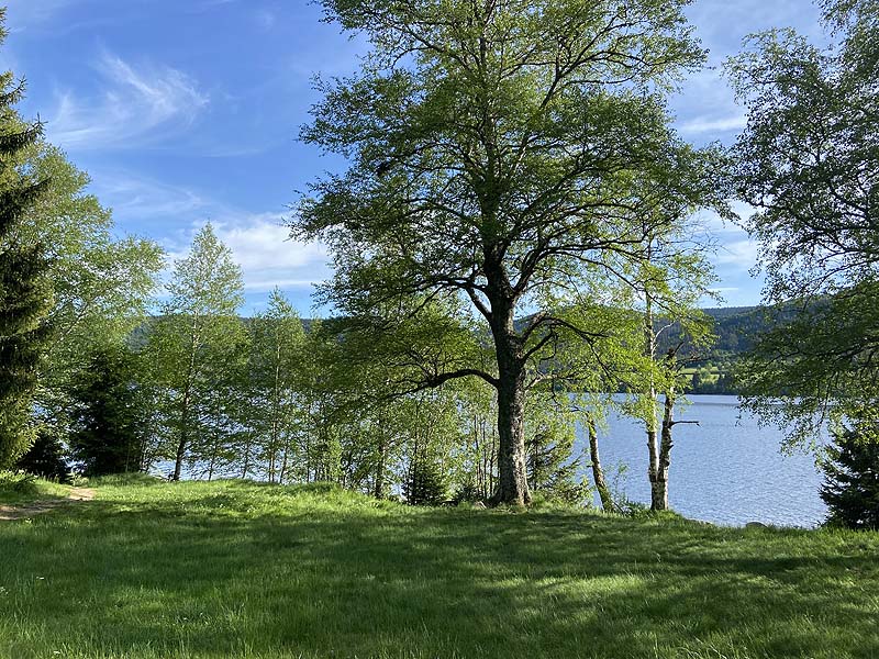 Der FKK-Bereich am Schluchsee in Baden-Württemberg