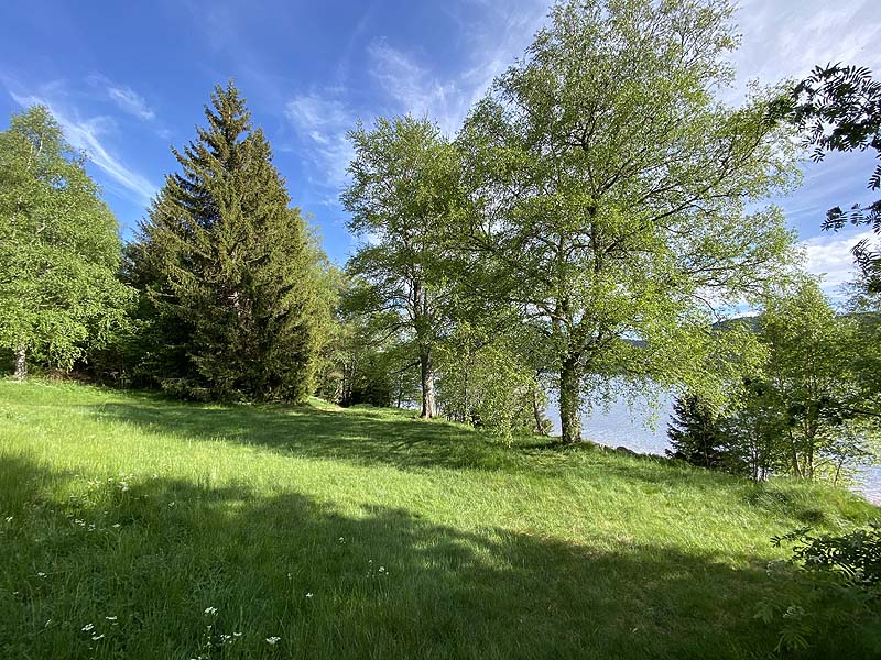 Der FKK-Bereich am Schluchsee in Baden-Württemberg