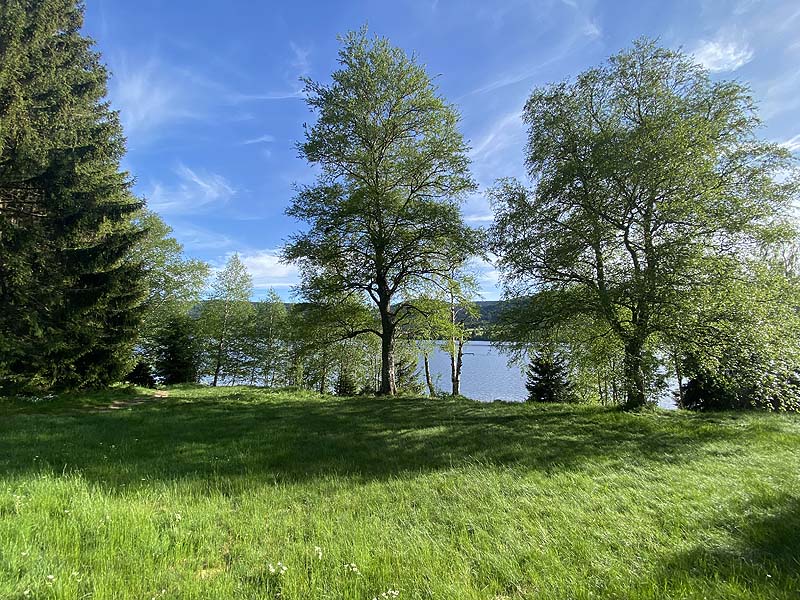 Der FKK-Bereich am Schluchsee in Baden-Württemberg