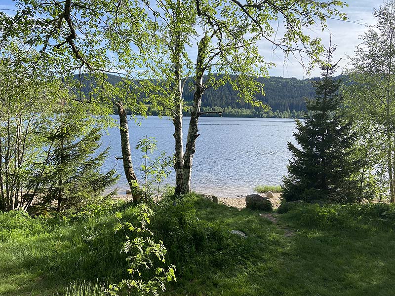 Der FKK-Bereich am Schluchsee in Baden-Württemberg