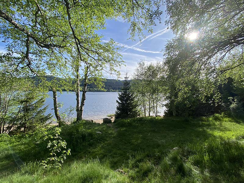 Der FKK-Bereich am Schluchsee in Baden-Württemberg