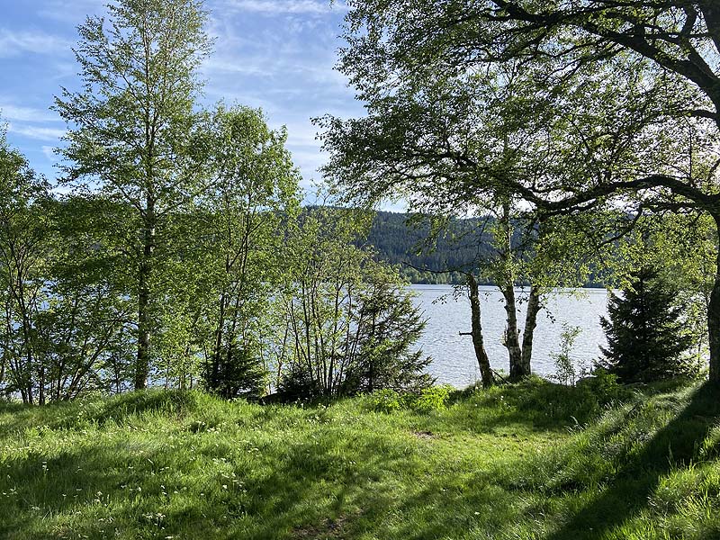 Der FKK-Bereich am Schluchsee in Baden-Württemberg