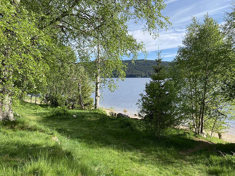 Der FKK-Bereich am Schluchsee in Baden-Württemberg