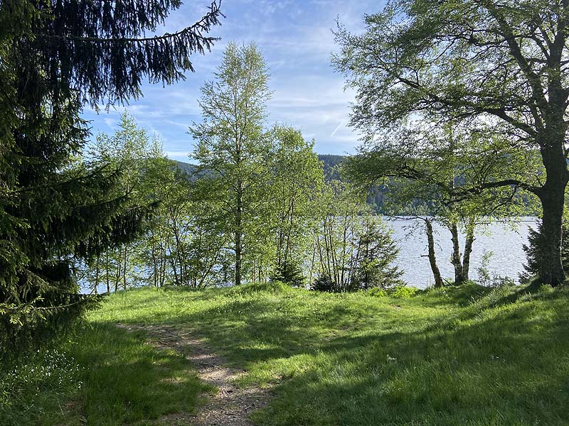 Der FKK-Bereich am Schluchsee in Baden-Württemberg