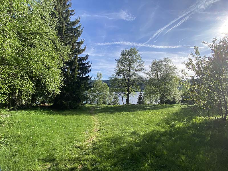 Der FKK-Bereich am Schluchsee in Baden-Württemberg