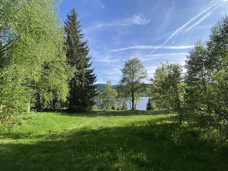 Der FKK-Bereich am Schluchsee in Baden-Württemberg