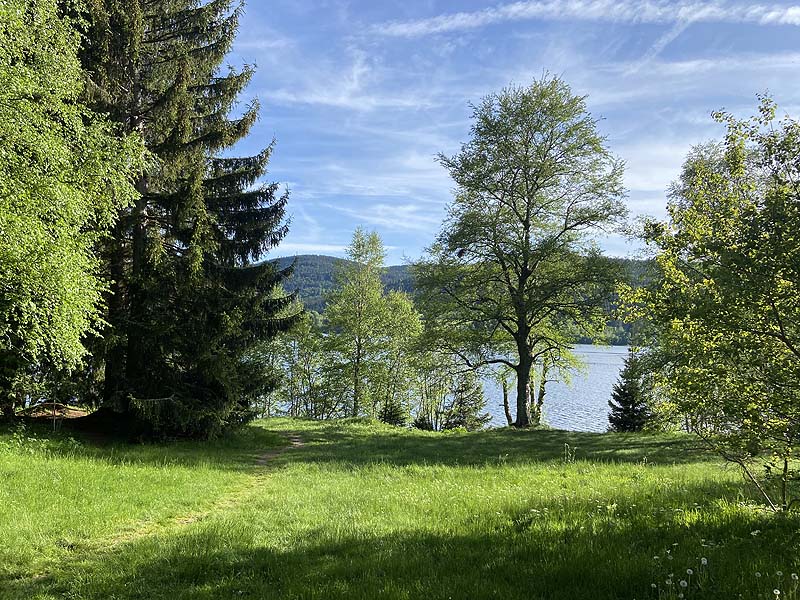 Der FKK-Bereich am Schluchsee in Baden-Württemberg