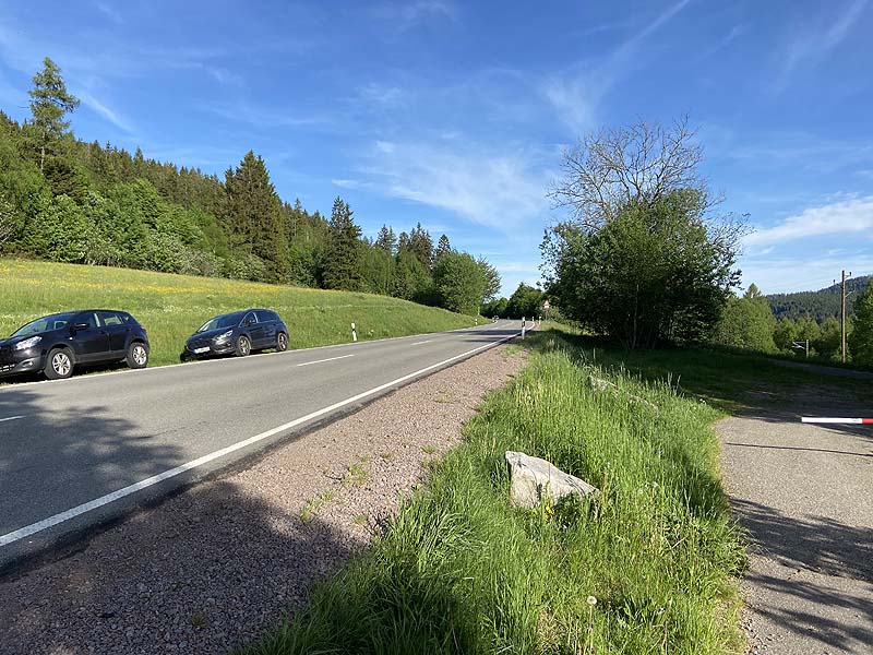 Der FKK-Bereich am Schluchsee in Baden-Württemberg