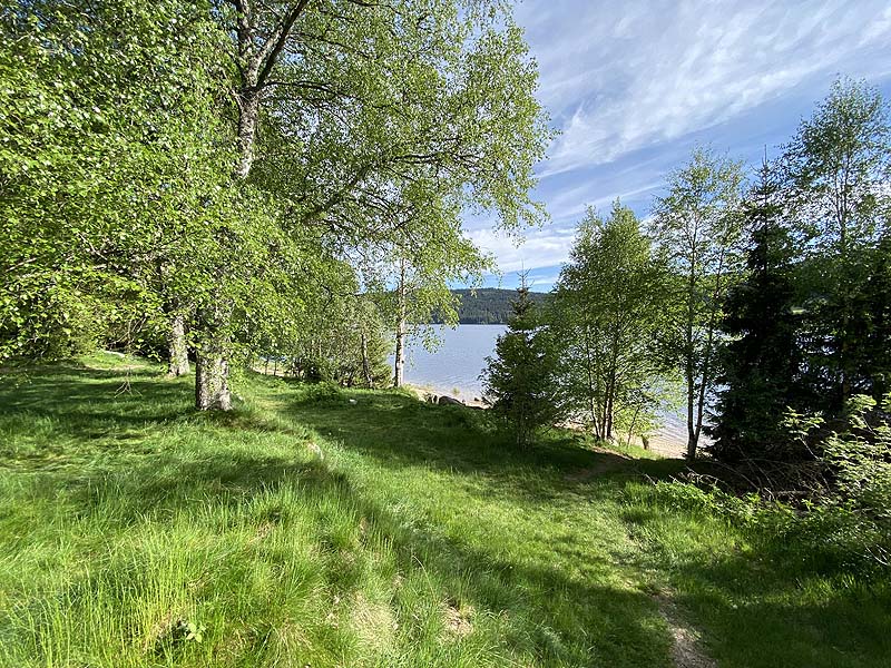 Der FKK-Bereich am Schluchsee in Baden-Württemberg